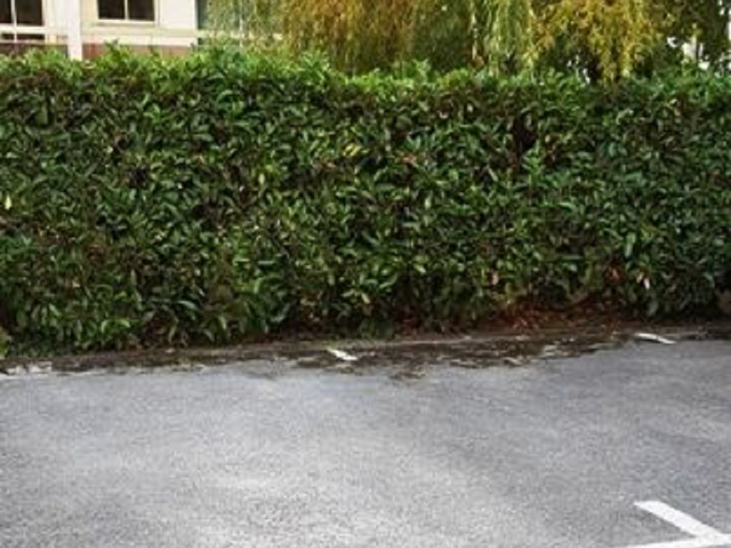 Parking LE PERREUX SUR MARNE 75€ C3Z-IMMOBILIER Parking LE PERREUX SUR MARNE 75€ C3Z-IMMOBILIER